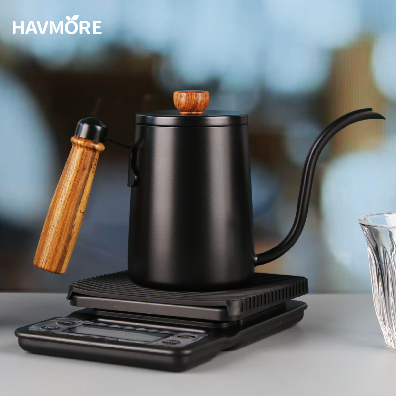 Tea And Coffee Kettle - Caffettiera da 550ML brocca per schiuma