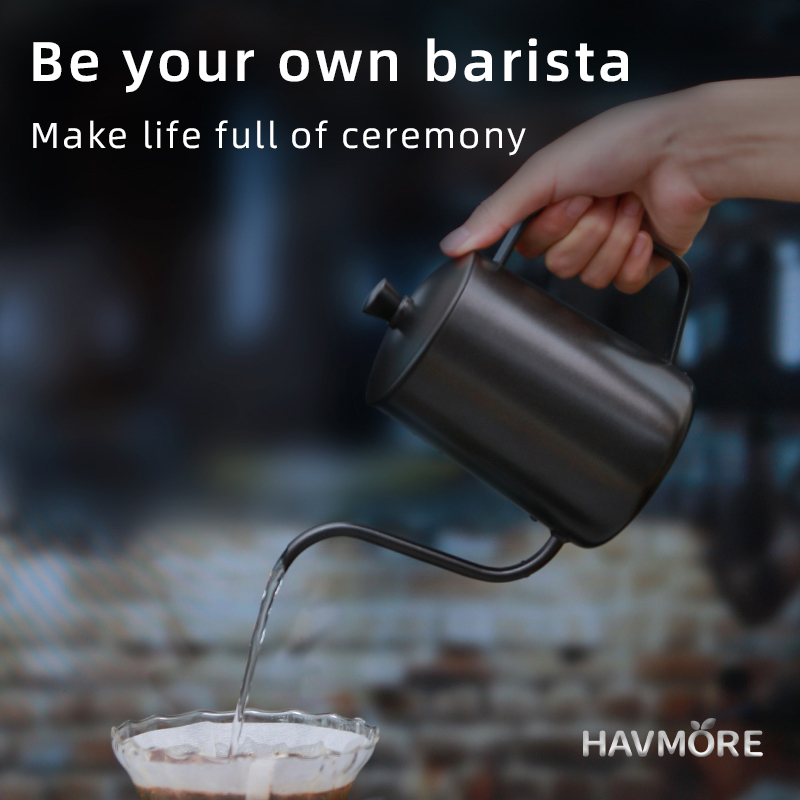 HAVMORE Bollitore per tè in ac - Tea And Coffee Kettle recensione e prezzo