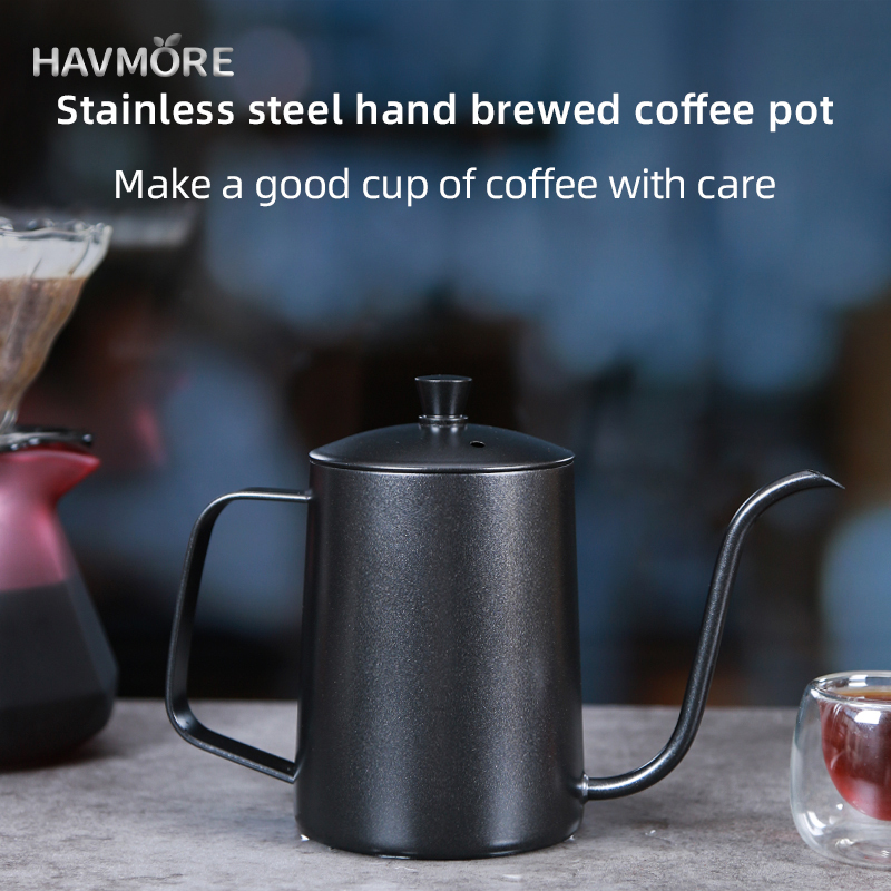 HAVMORE Bollitore per tè in ac - Tea And Coffee Kettle recensione e prezzo
