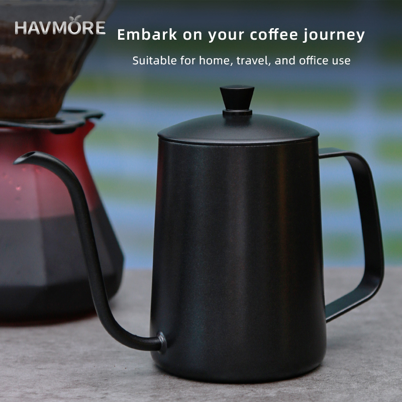 HAVMORE Bollitore per tè in ac - Tea And Coffee Kettle recensione e prezzo